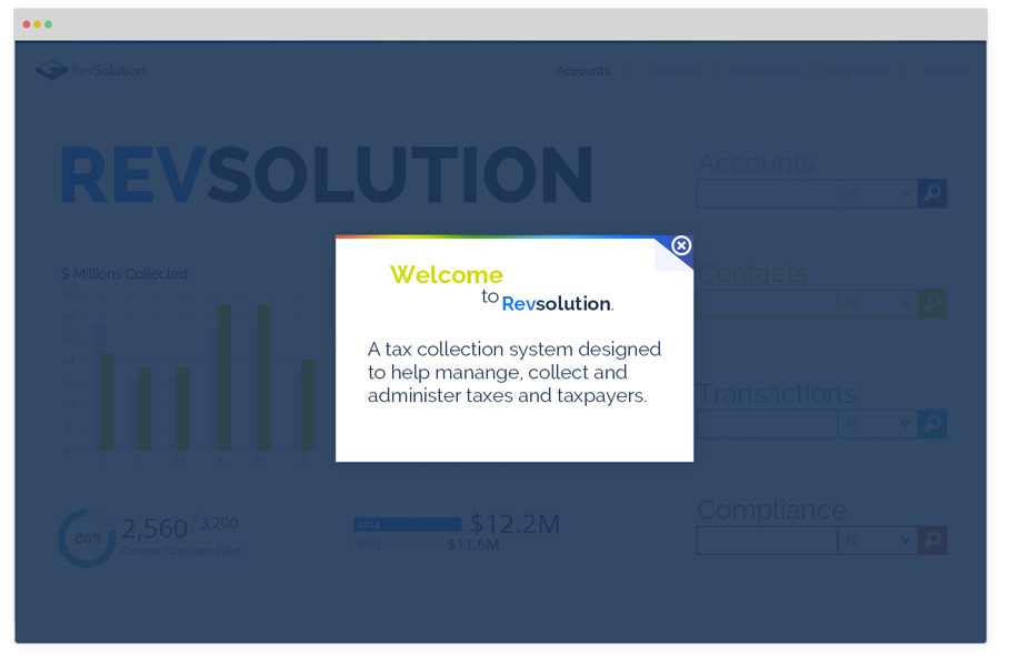 RevSolution sample page